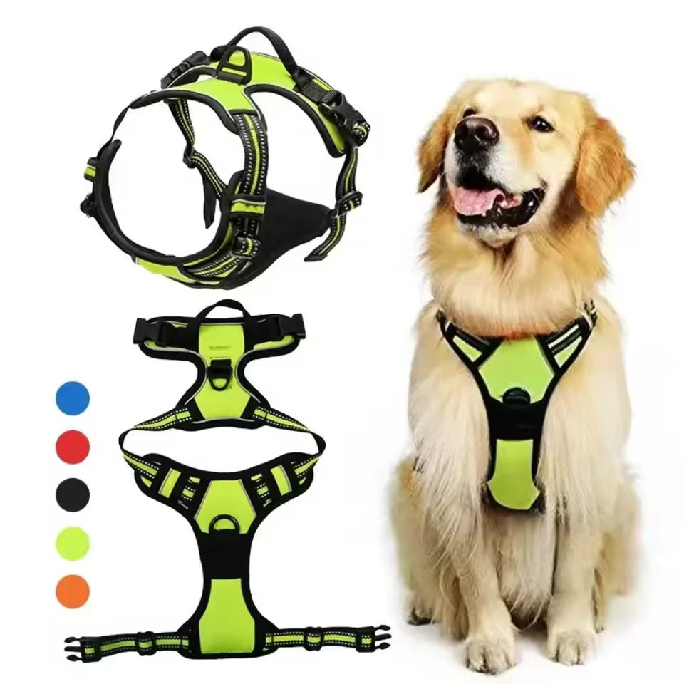 Harnais de Contrôle Nexodog®