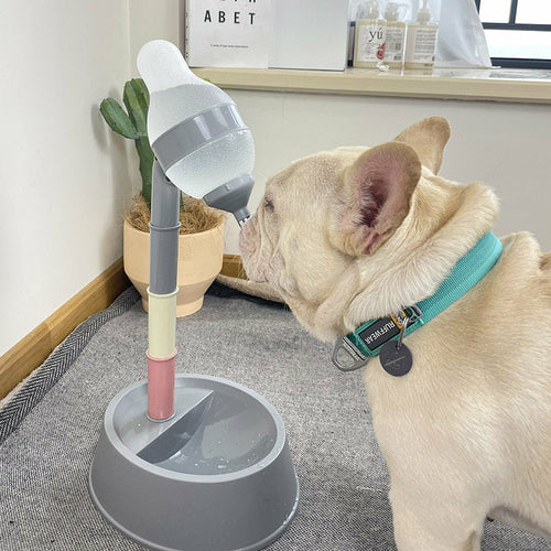 Distributeur Automatique d’Eau et Gamelle Réglable pour Animaux