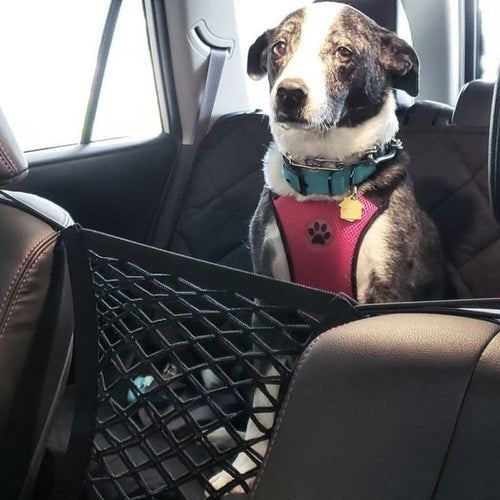 Filet de Séparation de Voiture pour Chien – Sécurité & Confort en Voyage

Offrez à votre compagnon à quatre pattes des trajets plus sûrs et plus agréables !