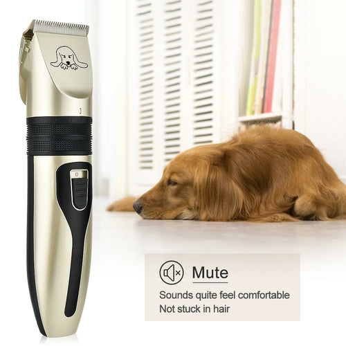 Tondeuse Professionnelle Nexodog + Kit d’Accessoires