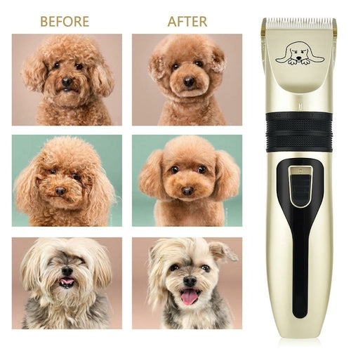 Tondeuse Professionnelle Nexodog + Kit d’Accessoires